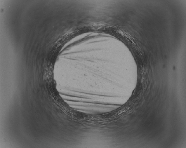 X0000085731349200704091433