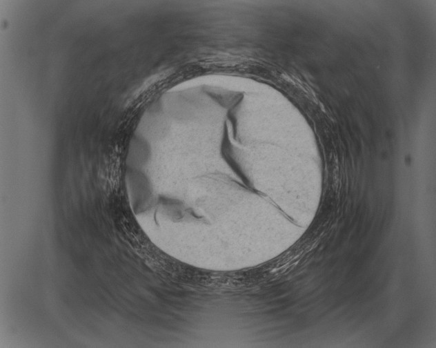 X0000085731350200704091433