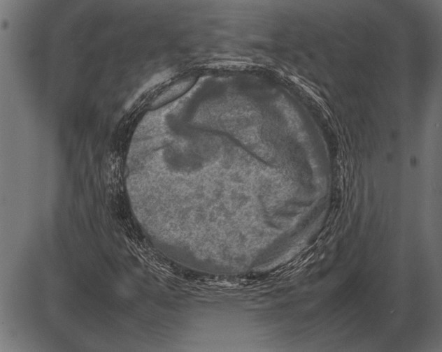 X0000085731351200704091433