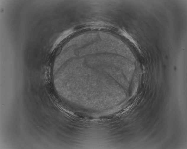 X0000085731352200704091433