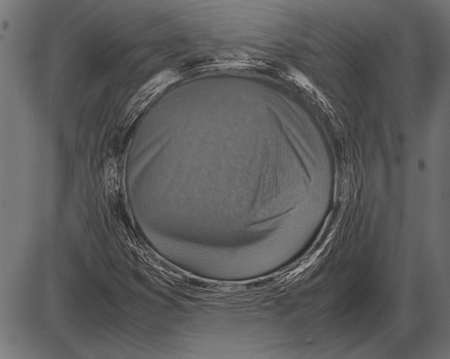 X0000085731353200704091433