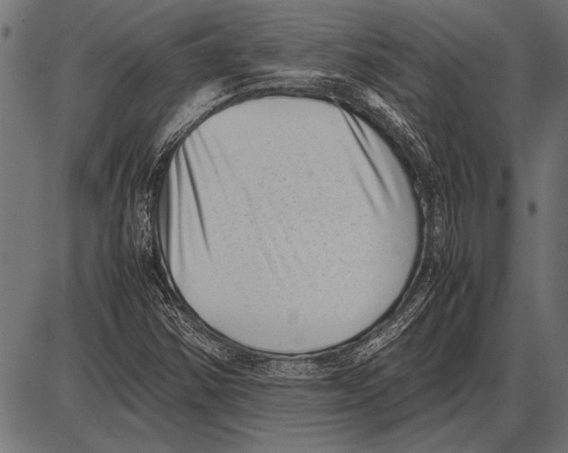 X0000085731354200704091433