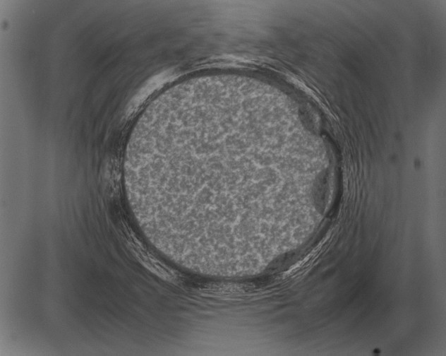 X0000085731355200704091433