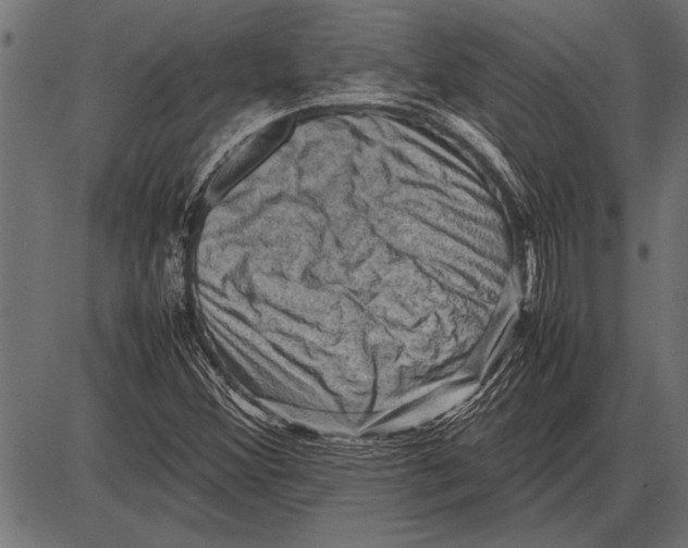 X0000085731356200704091433