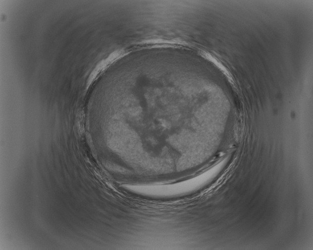 X0000085731357200704091433