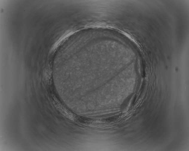 X0000085731359200704091433