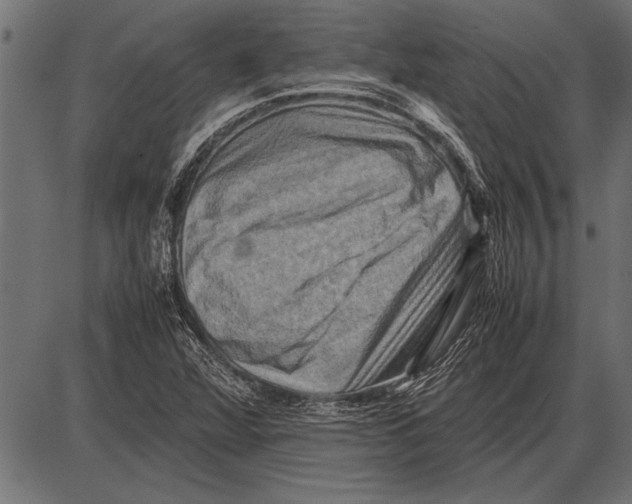 X0000085731360200704091433