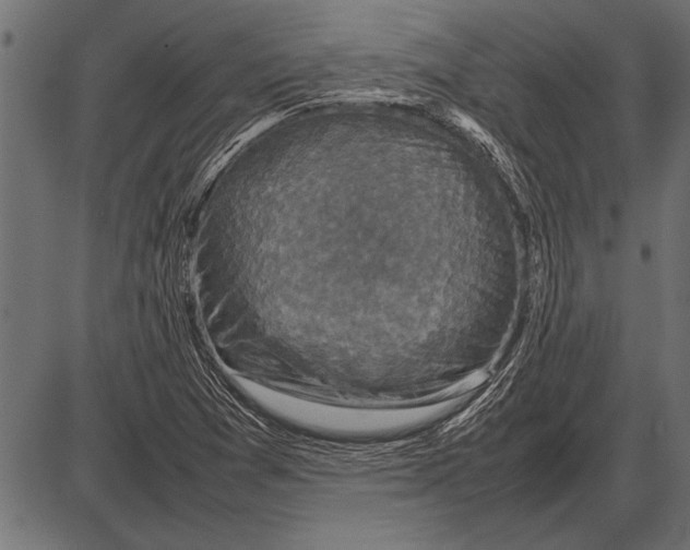 X0000085731361200704091433