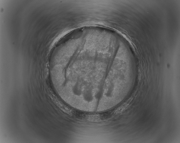 X0000085731363200704091433