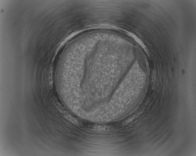 X0000085731364200704091433