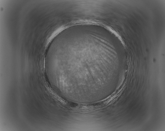 X0000085731365200704091433