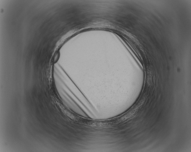 X0000085731366200704091433