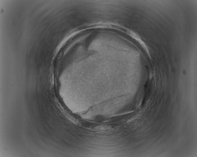 X0000085731368200704091433