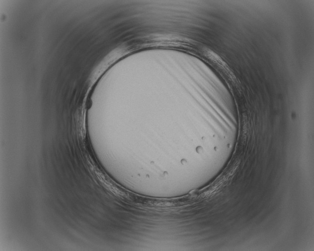 X0000085731370200704091433