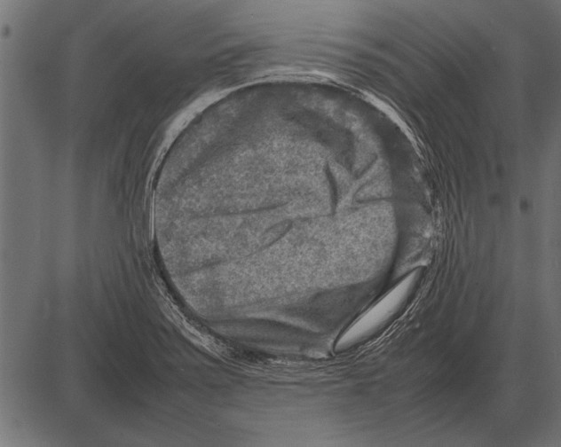 X0000085731371200704091433