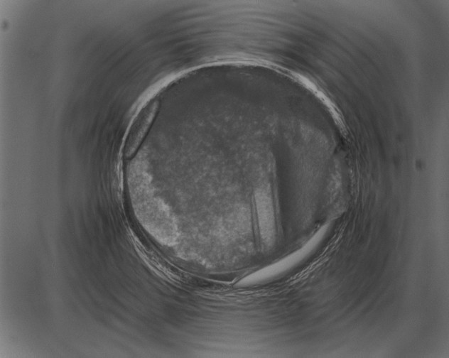 X0000085731372200704091433