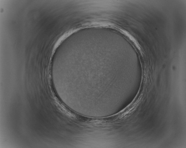 X0000085731373200704091433