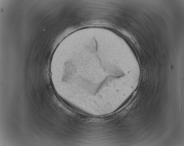 X0000085731374200704091433