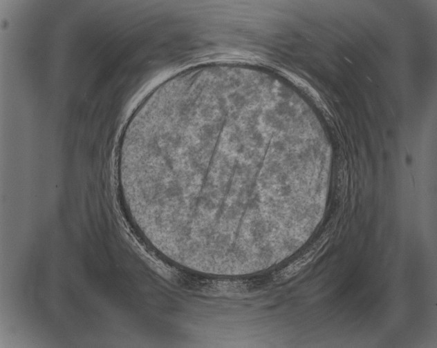 X0000085731375200704091433