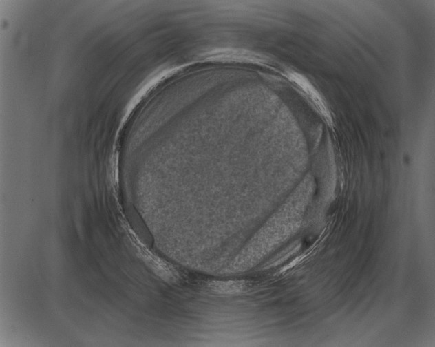 X0000085731376200704091433