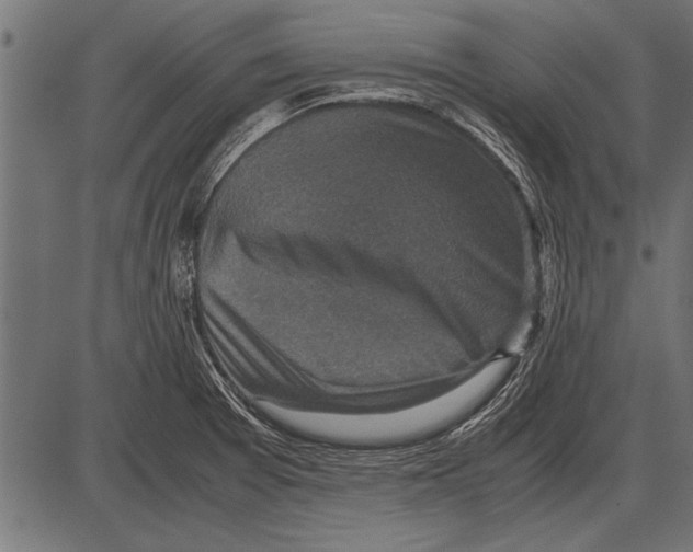 X0000085731377200704091433