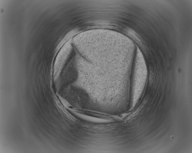 X0000085731378200704091433