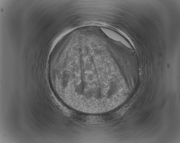 X0000085731379200704091433