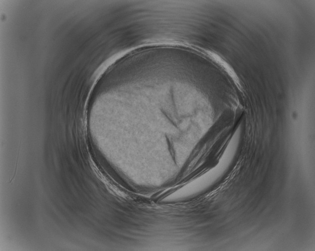 X0000085731380200704091433