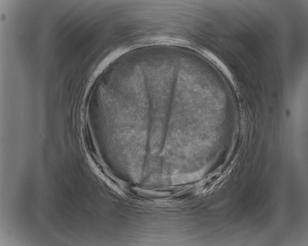 X0000085731381200704091433