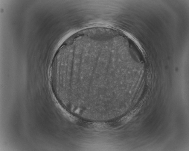 X0000085731383200704091433