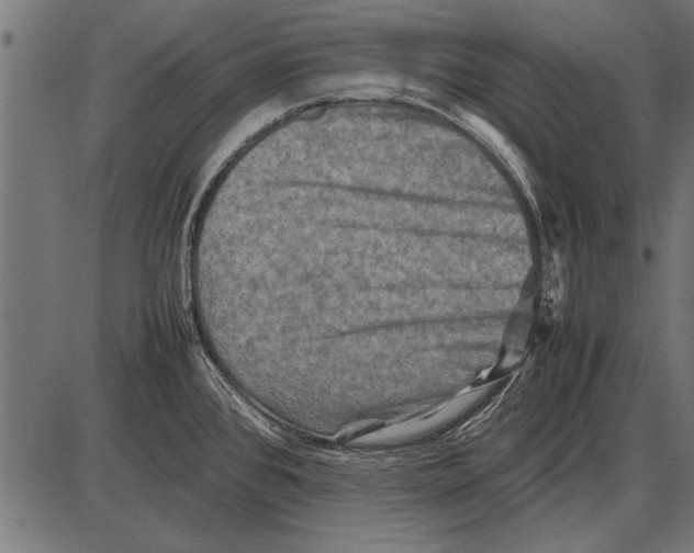 X0000085731384200704091433