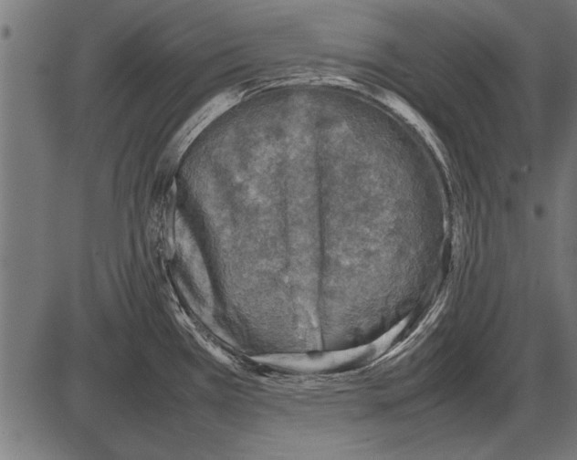 X0000085731385200704091433