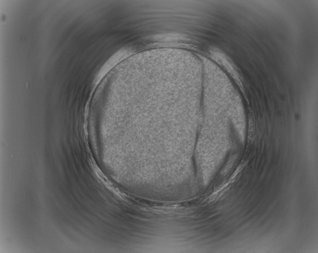 X0000085731386200704091433