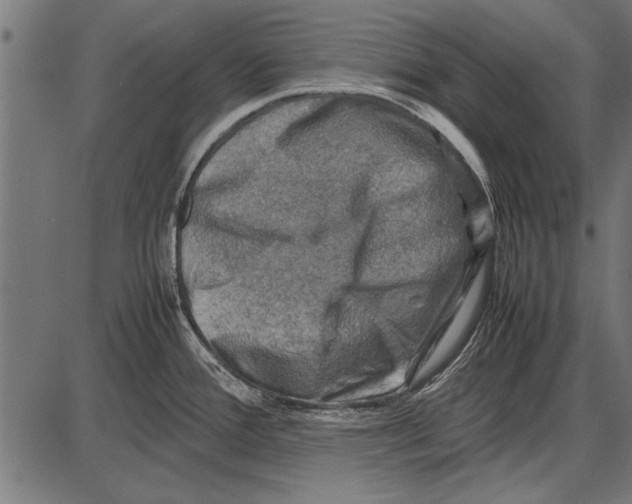 X0000085731388200704091433