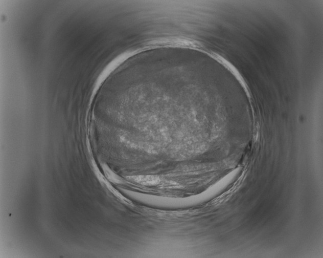 X0000085731389200704091433