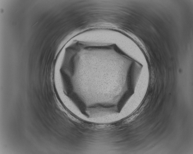 X0000085731390200704091433