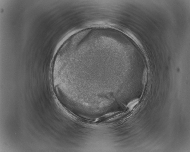 X0000085731392200704091433