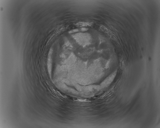 X0000085731393200704091432