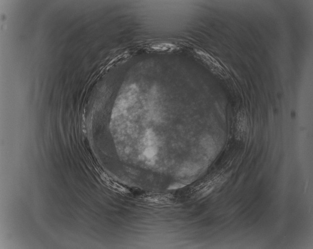 X0000085731394200704091432