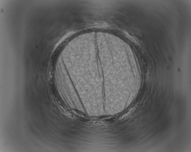 X0000085731400200704091432