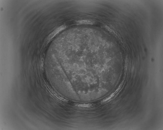 X0000085731401200704091432