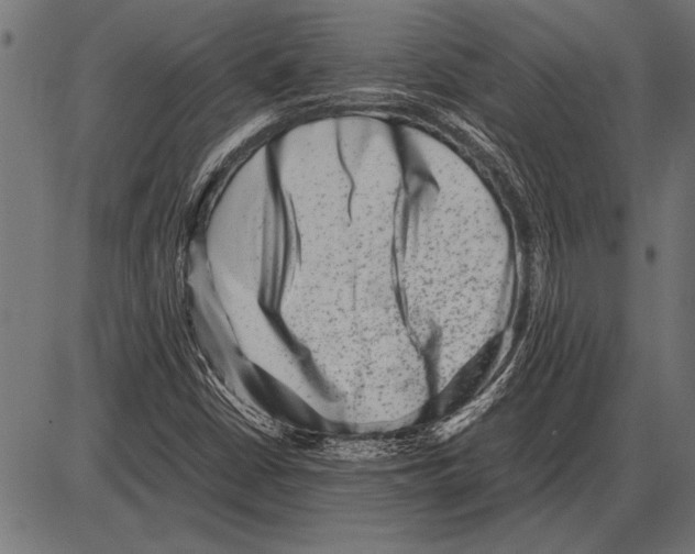 X0000085731402200704091432