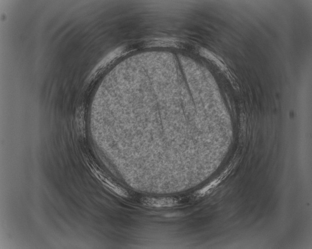 X0000085731403200704091432