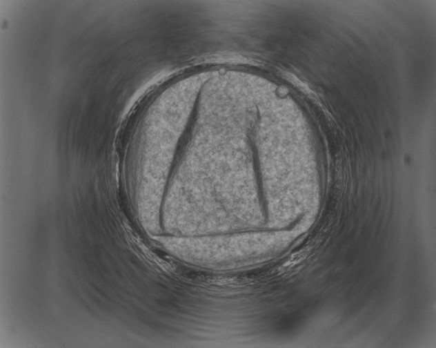 X0000085731408200704091432