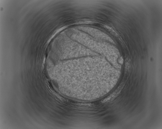 X0000085731409200704091432