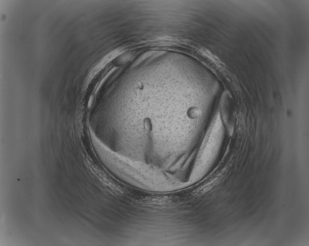 X0000085731410200704091432