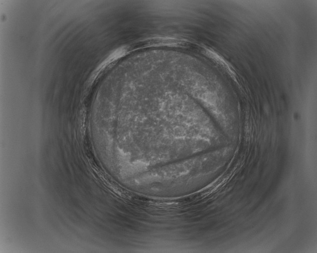 X0000085731411200704091432