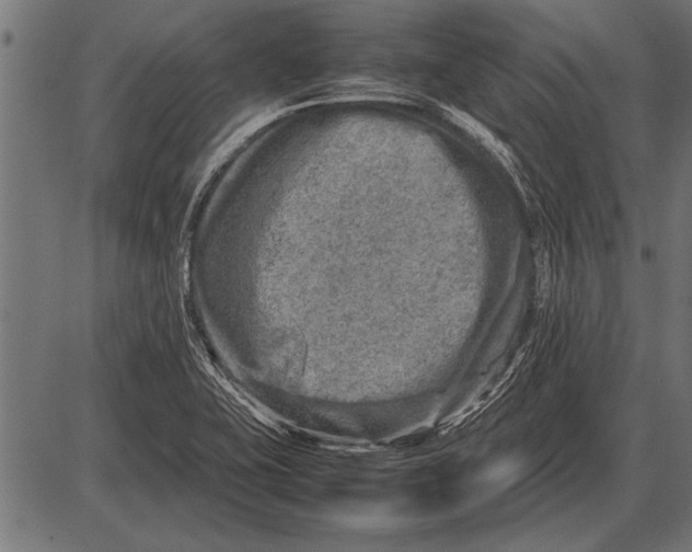 X0000085731415200704091432