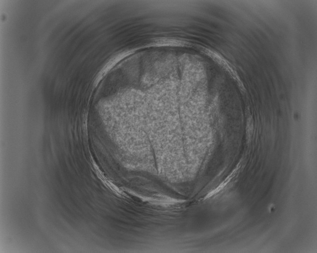 X0000085731417200704091432