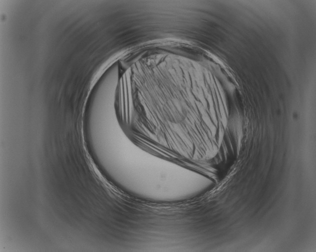 X0000085731418200704091432